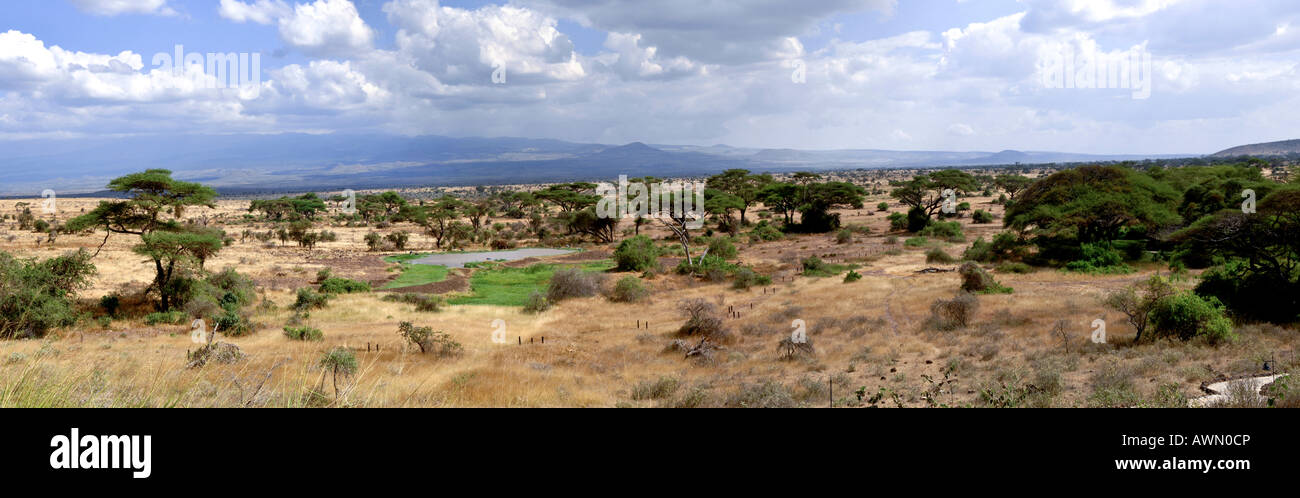 Landscape featuring watering hole in Amboseli National Park, Kenya, Africa Stock Photo