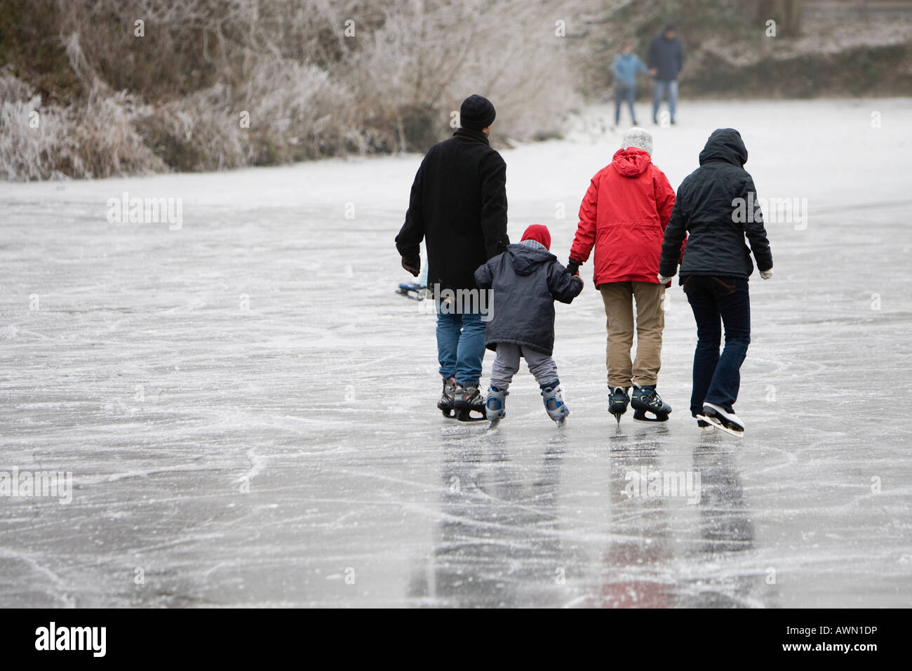 Children skating with parents on frozen lake, Hesse, Germany, Europe Stock Photo