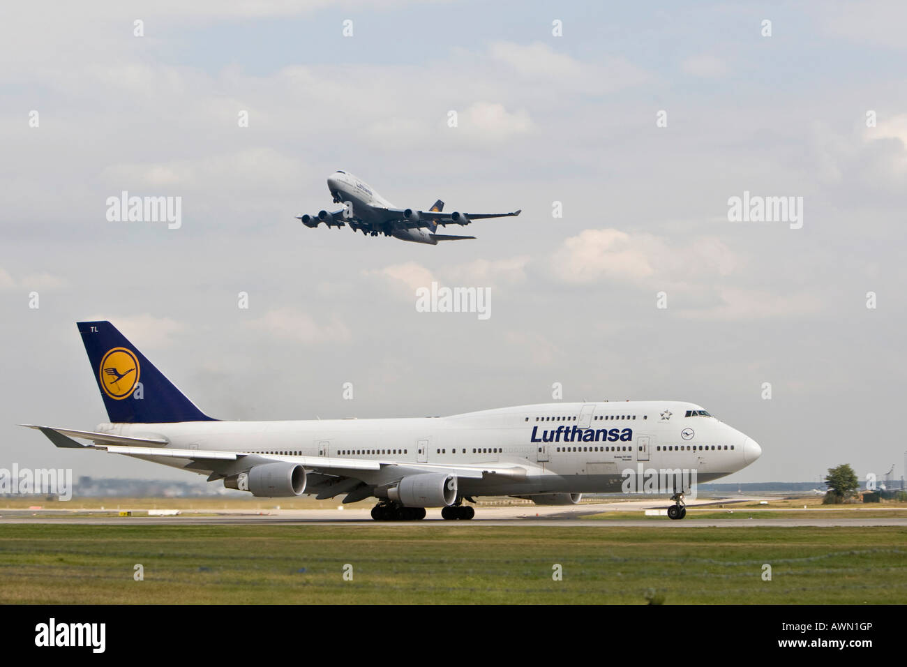 Lufthansa Boeing 747 on runway, another Lufthansa Boeing 747 taking off overhead at Frankfurt Airport, Frankfurt, Hesse, German Stock Photo