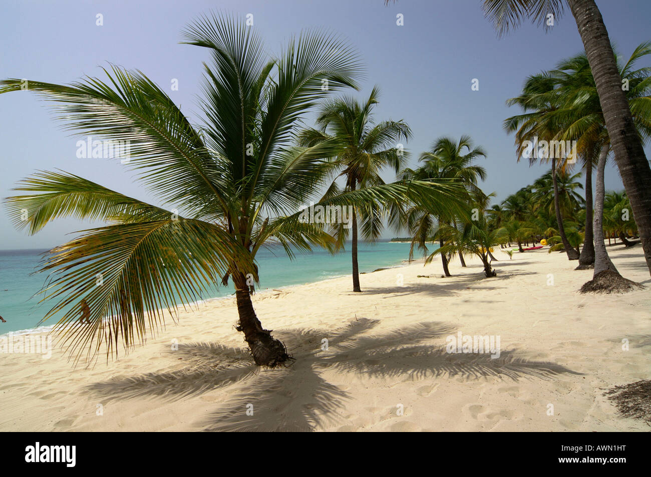 Beach, palm trees and deck chairs, Catalina Island, Dominican Republic