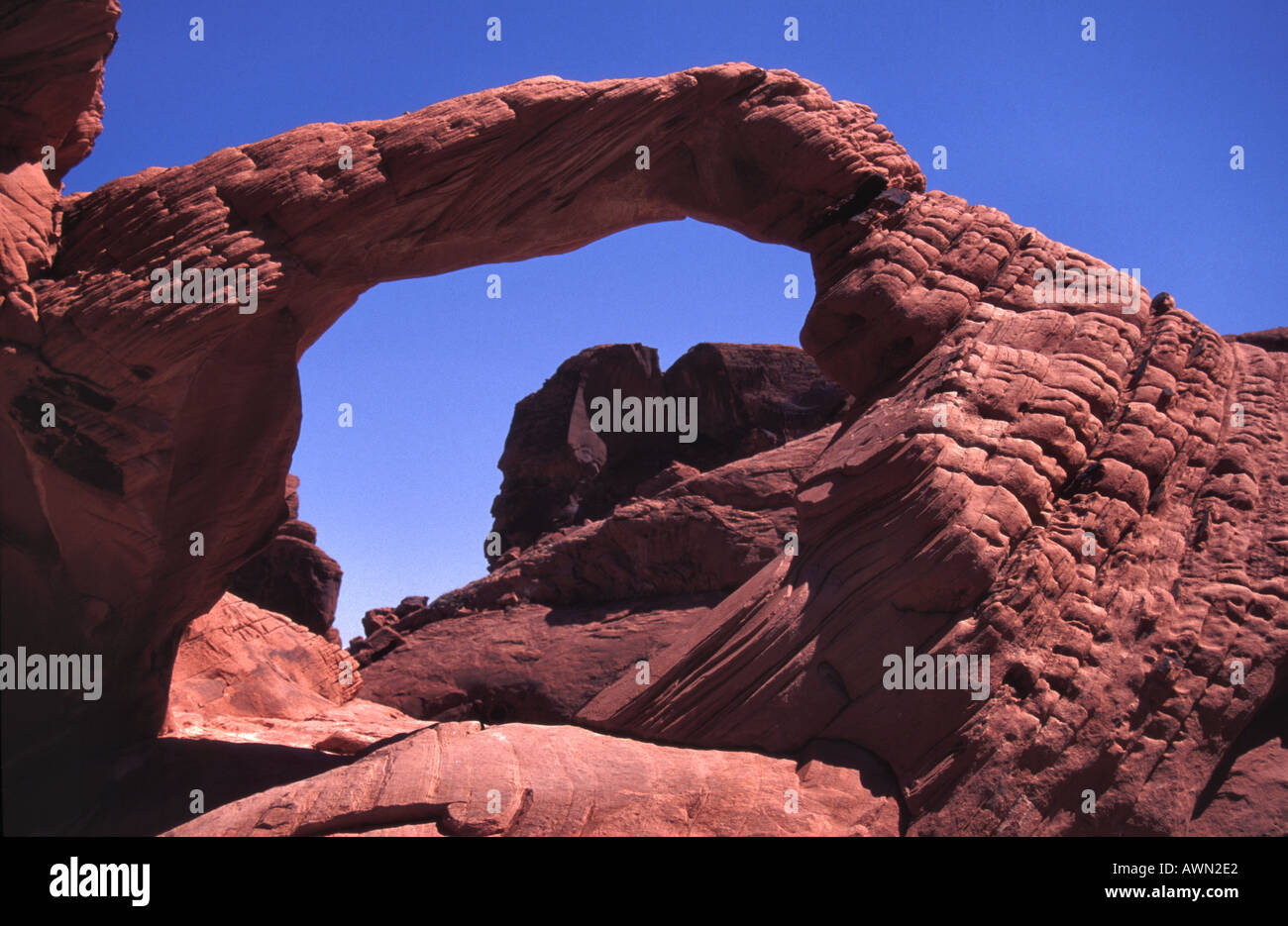 Wind carved sandstone arch at the Valley of Fire State Park Nevada Stock Photo