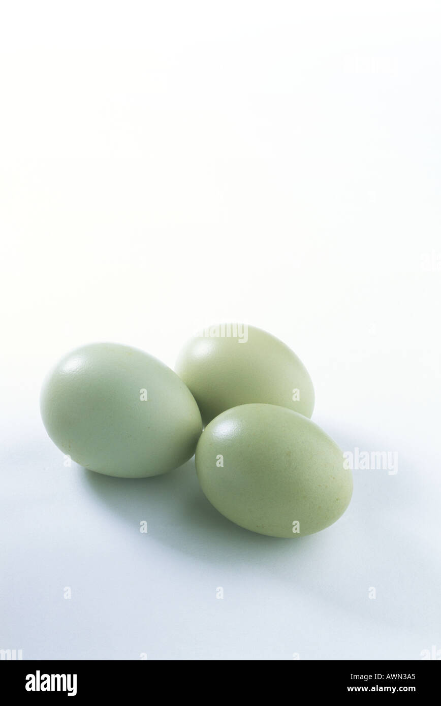 Three Hen s Blue Eggs Stock Photo