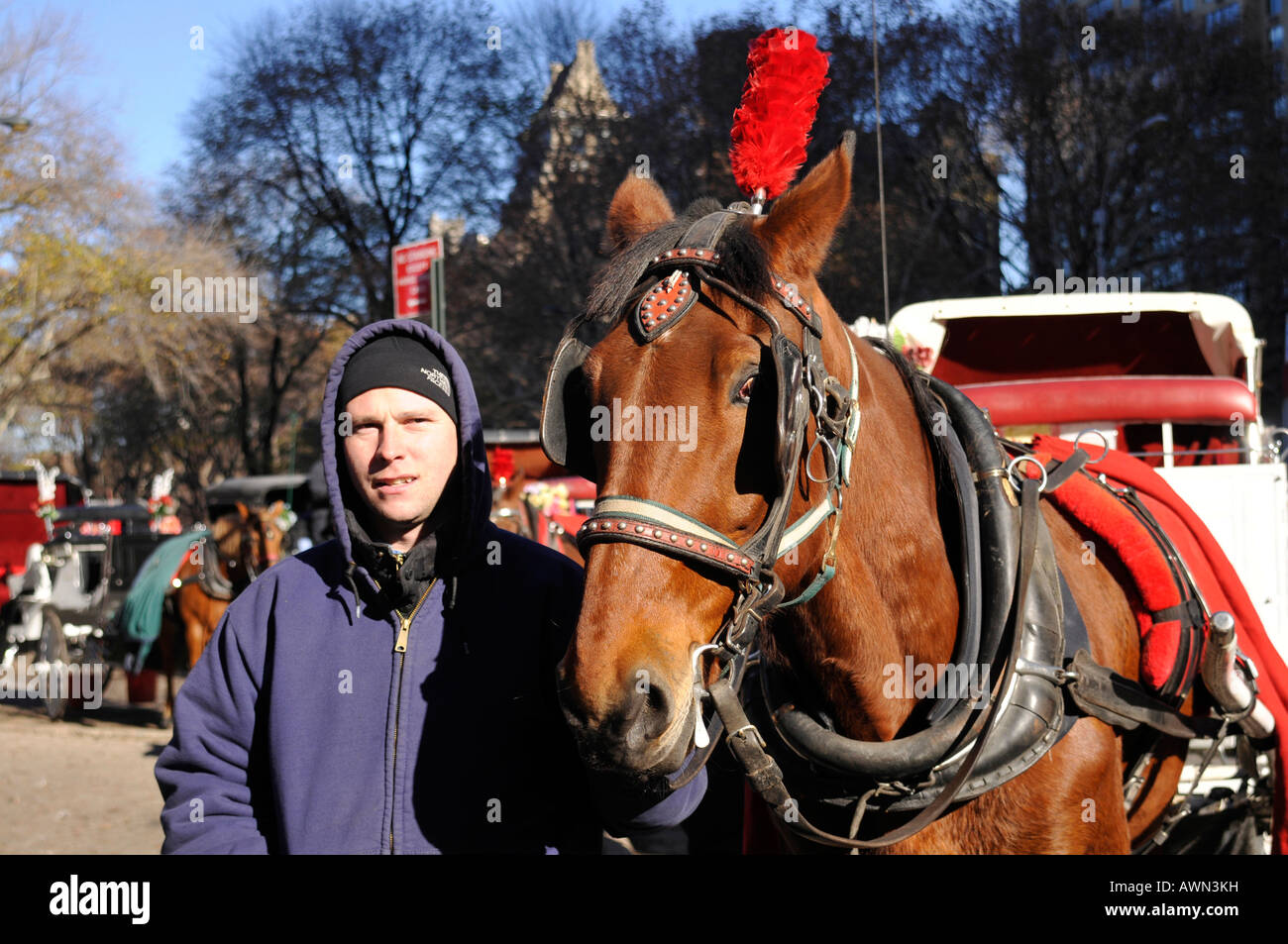 Horse carriage with carriage driver at the Central Park, Manhattan, New York, USA Stock Photo