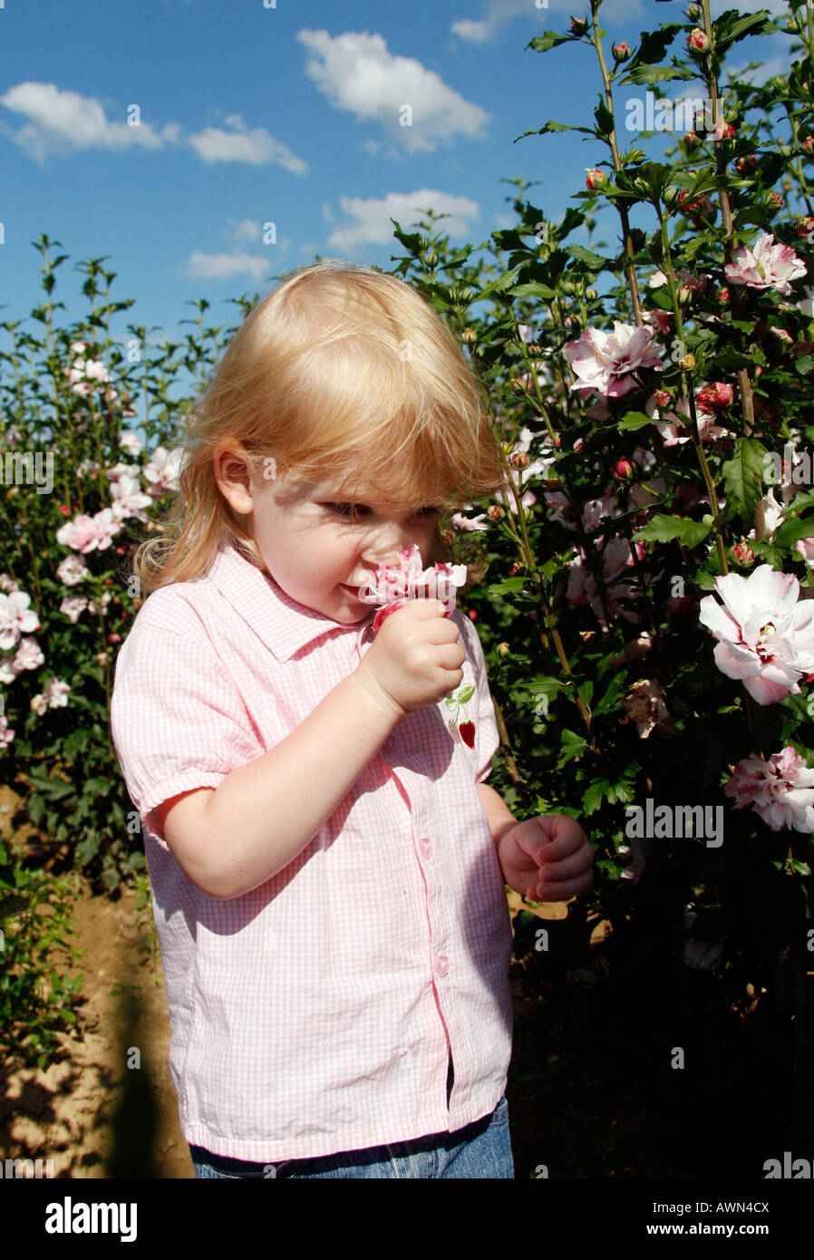 Young girl in a flower meadow Stock Photo