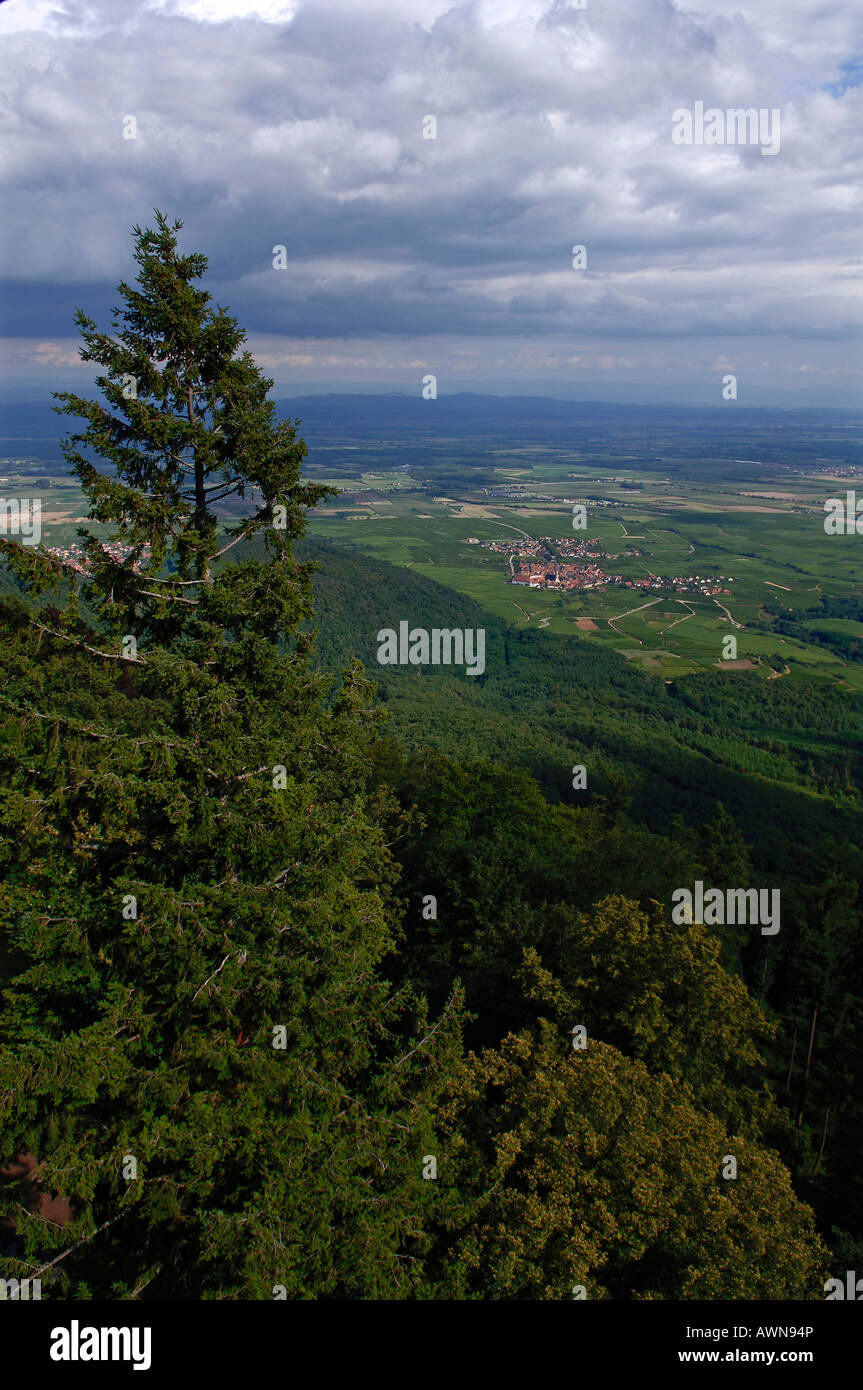 View from Hohkoenigsburg Castle (French: Château du Haut-Knigsbourg), Alsace, France, Europe Stock Photo
