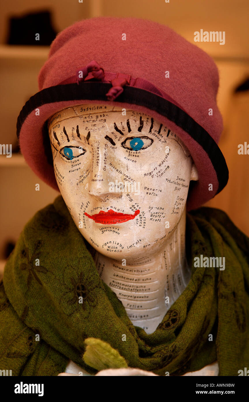 Bust wearing hat and shawl, decorative piece in clothing shop in Erlangen, Middle Franconia, Bavaria, Germany, Europe Stock Photo