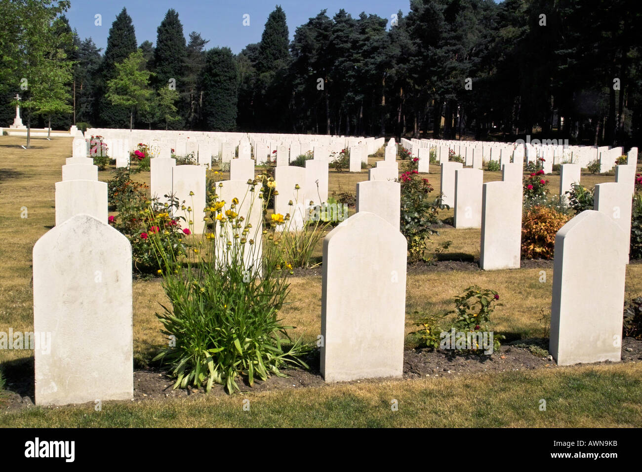 War Graves, Brookwood Cemetery, Surrey, UK Stock Photo Alamy