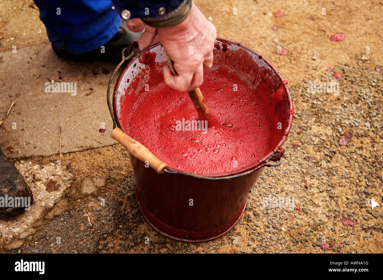 Pigs blood hires stock photography and images Alamy