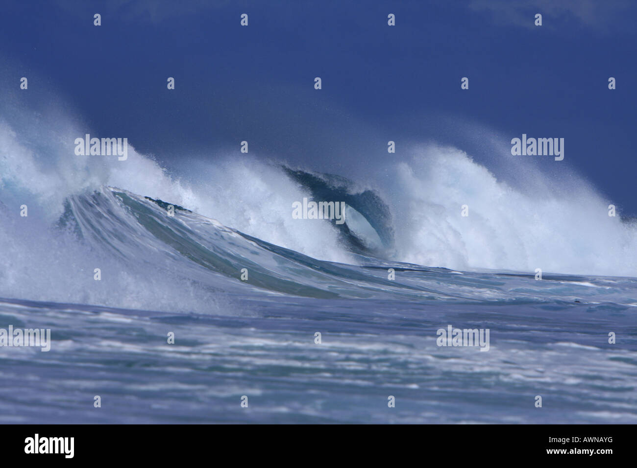 Welle vor Hawaii | Hawaiian wave Stock Photo