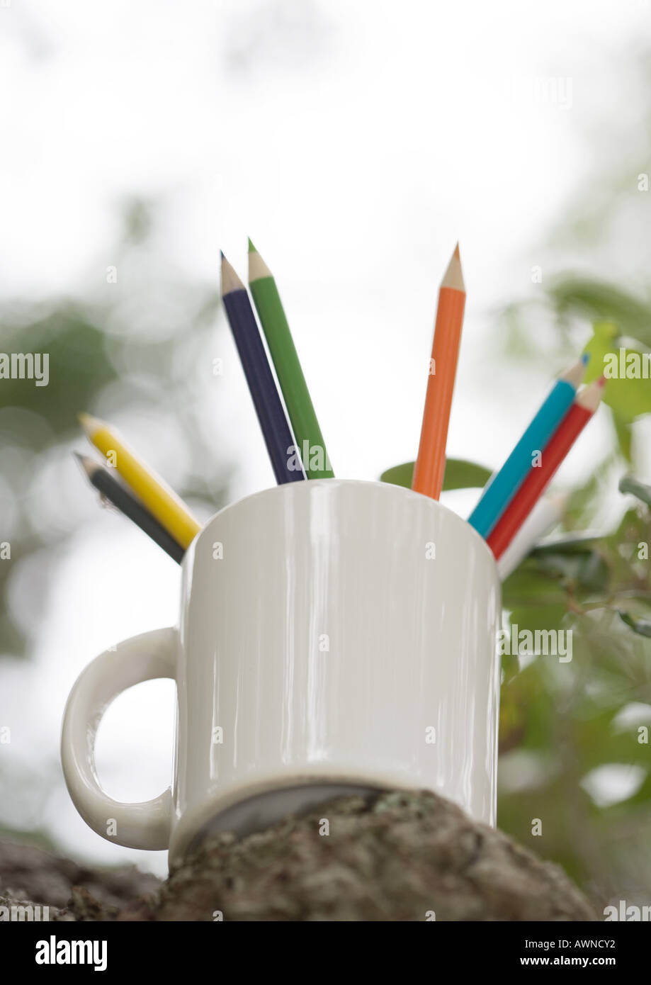 Mug full of colored pencils Stock Photo