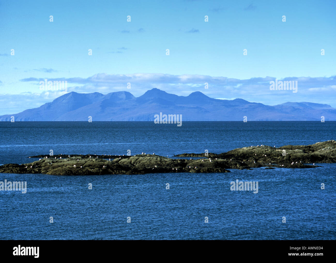Island Rum viewed from Mallaig Scotland Stock Photo Alamy