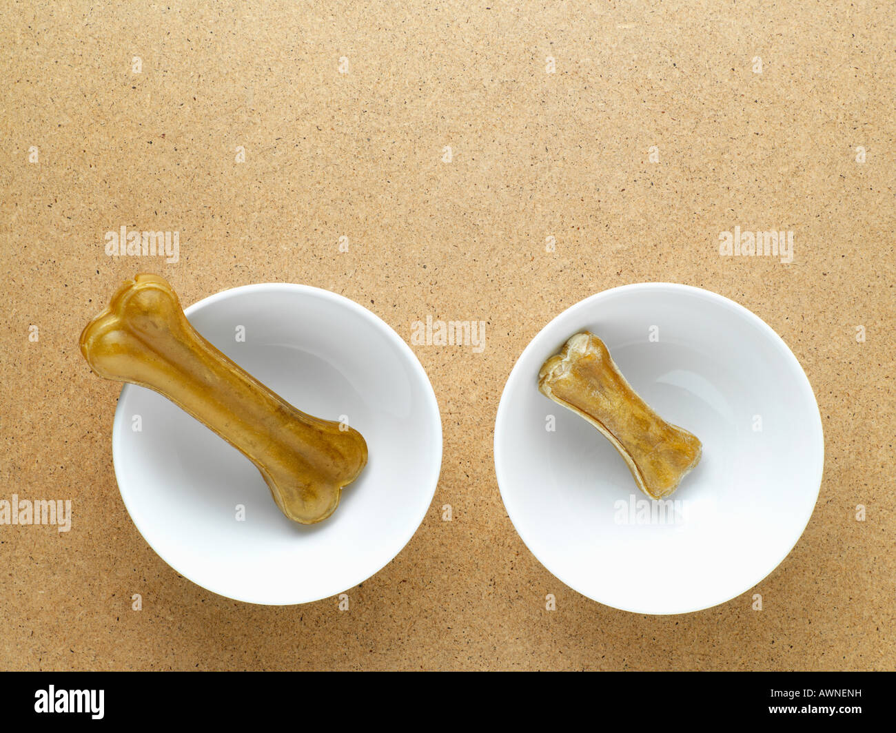Small animal bones hires stock photography and images Alamy