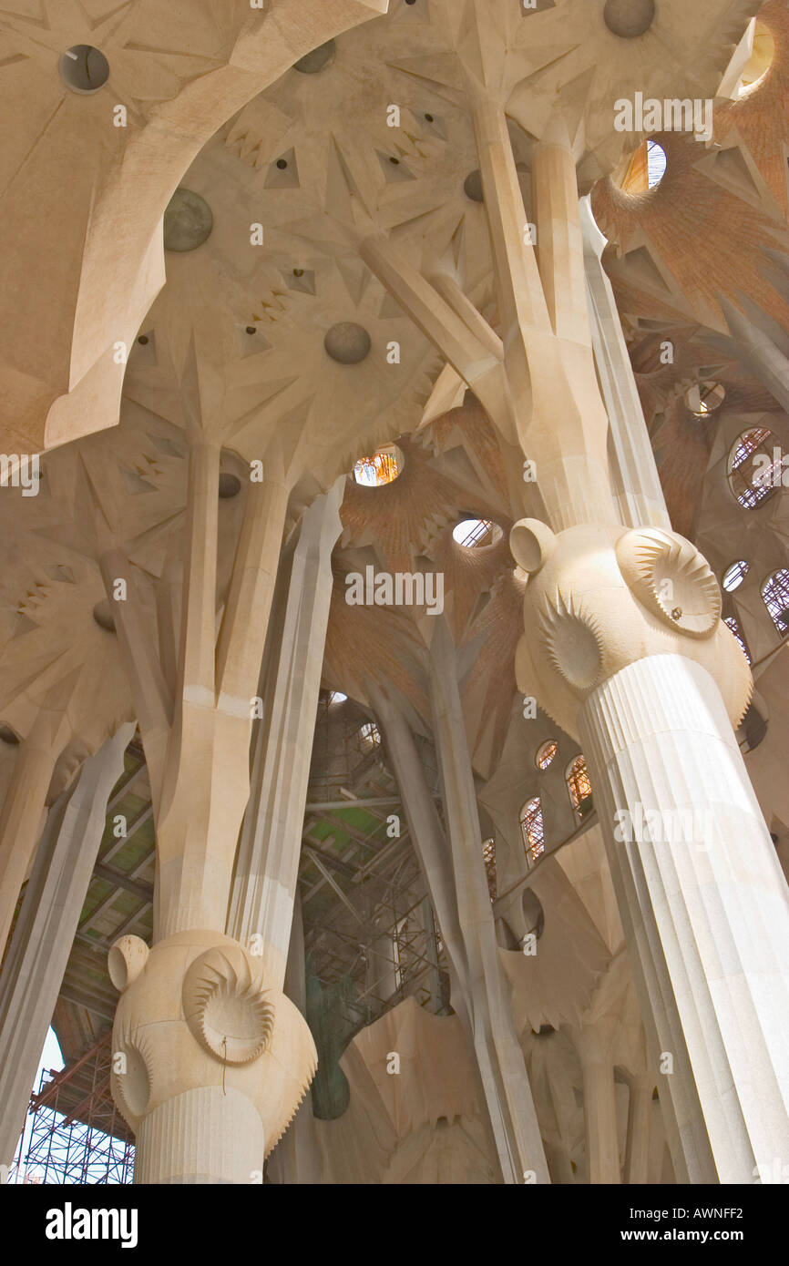 Barcelona Spain Barcelona Spain Interior Sagrada Familia by architect Antoni Gaudi Stock Photo