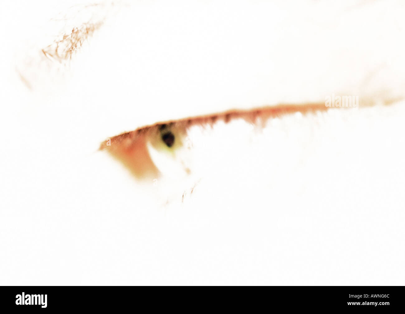 Woman's eye, overexposed, close up. Stock Photo