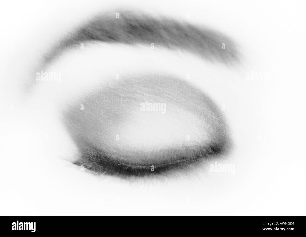 Woman's closed, made-up eye, close-up, black and white. Stock Photo