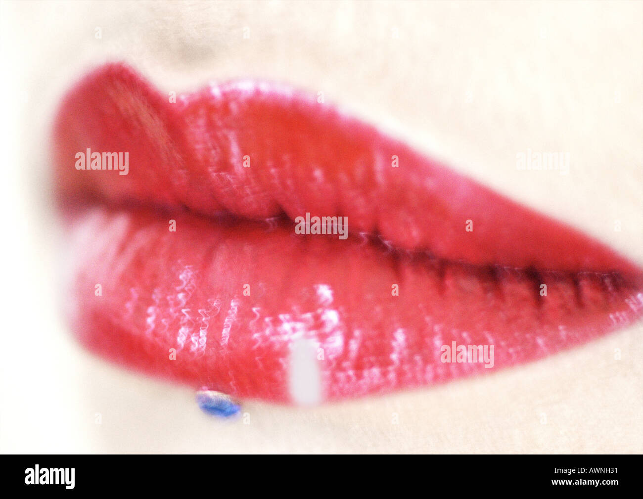 Glosses hi-res stock photography and images - Page 3 - Alamy
