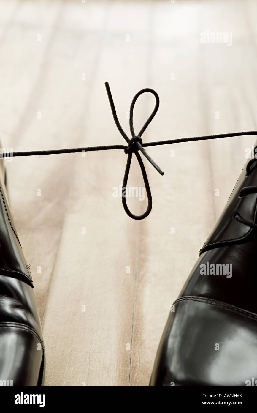 Shoelaces tied together Stock Photo Alamy