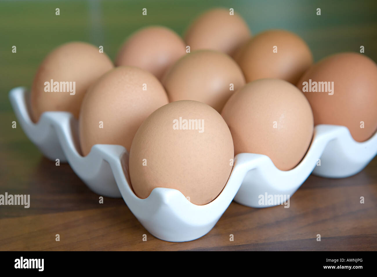 Реклама машинки для яиц. Упаковка под гусиное яйцо. Яичница из гусиных яиц. Чистые яйца. Блюда из гусиных яиц.