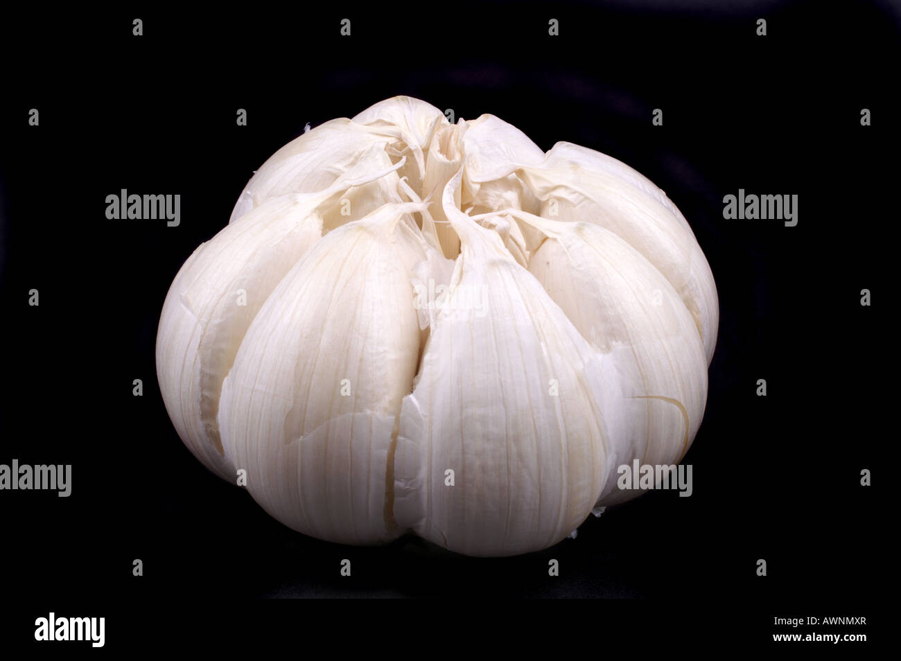 Knoblauch auf schwarzem Hintergrund / Garlic on black background Stock Photo
