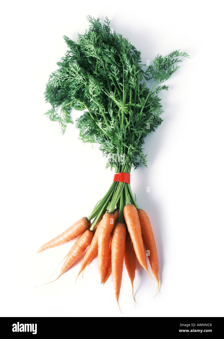 Bunch of carrots, full length Stock Photo