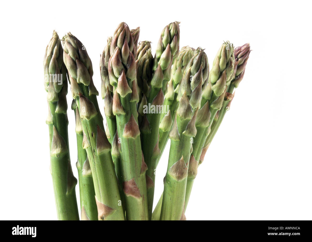 Green asparagus tips, close-up Stock Photo