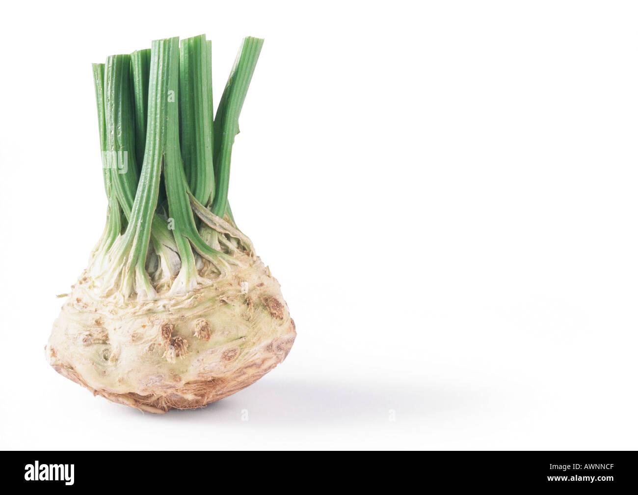 Celery root with cut stalks Stock Photo