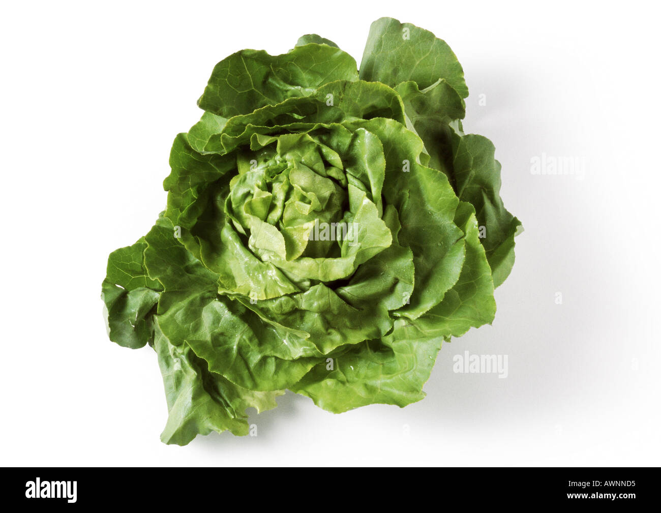 Head of green lettuce, top view, close-up Stock Photo