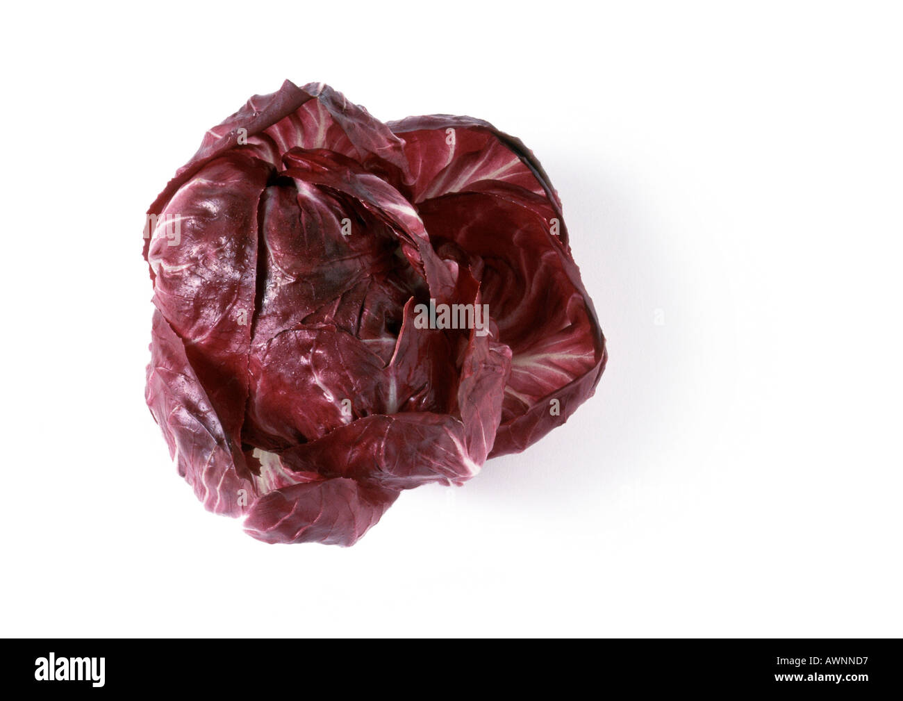 Head of radicchio lettuce, top view Stock Photo