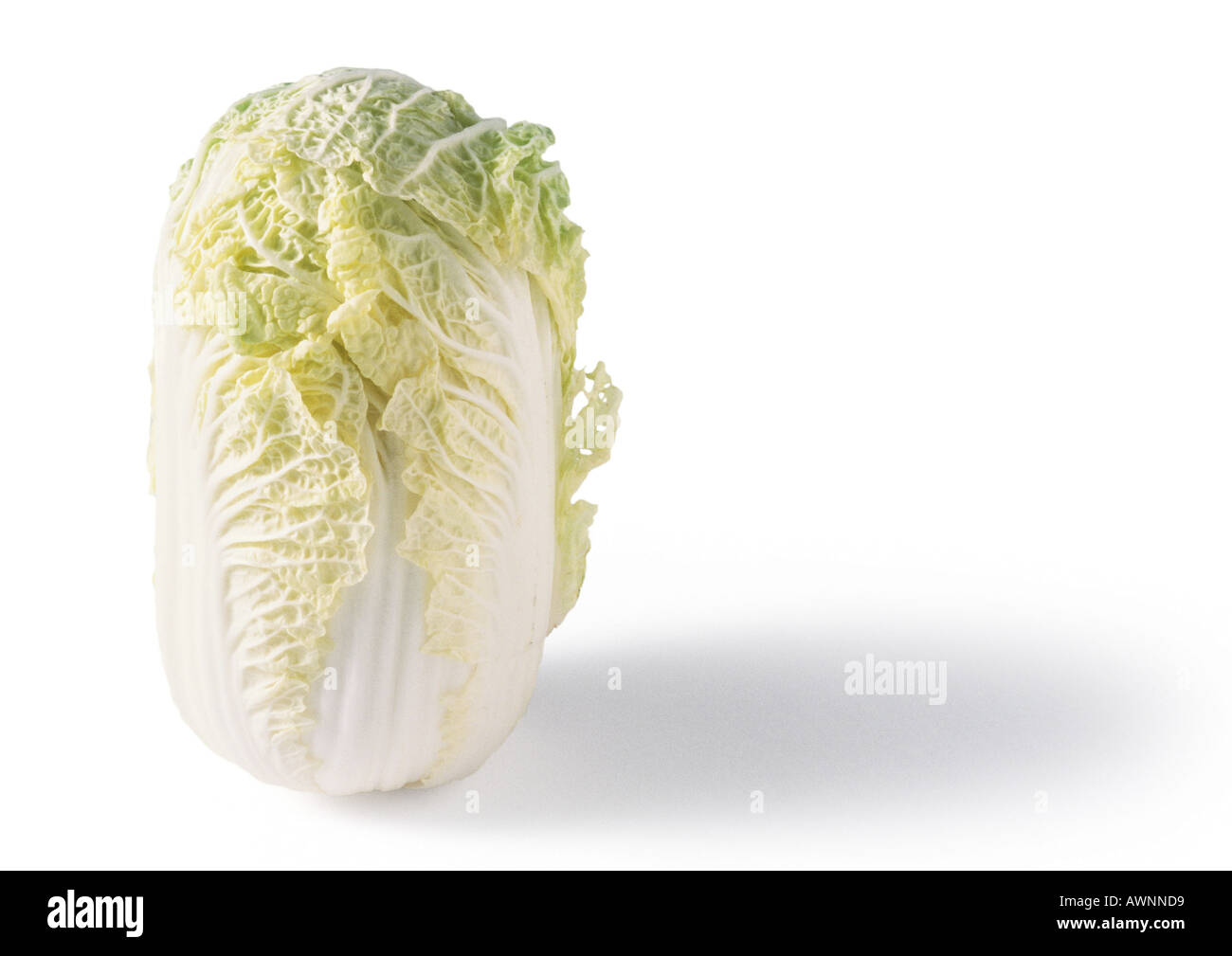 Head of bok choy standing on end, close-up Stock Photo