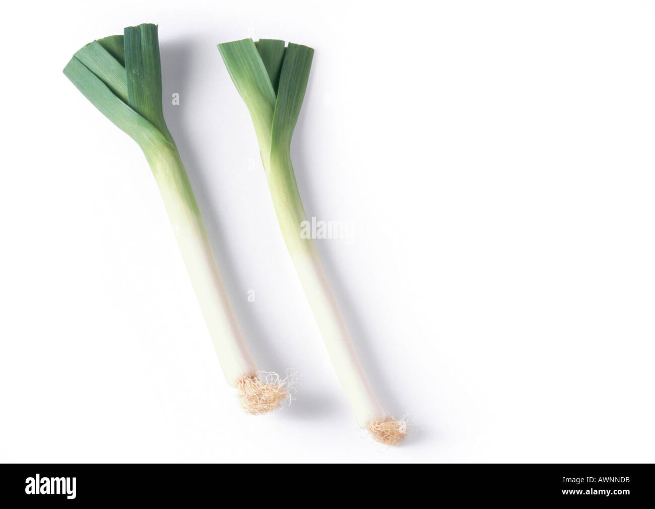 Two leeks, full length Stock Photo