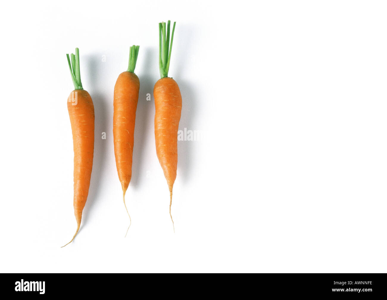 Three carrots, full length Stock Photo