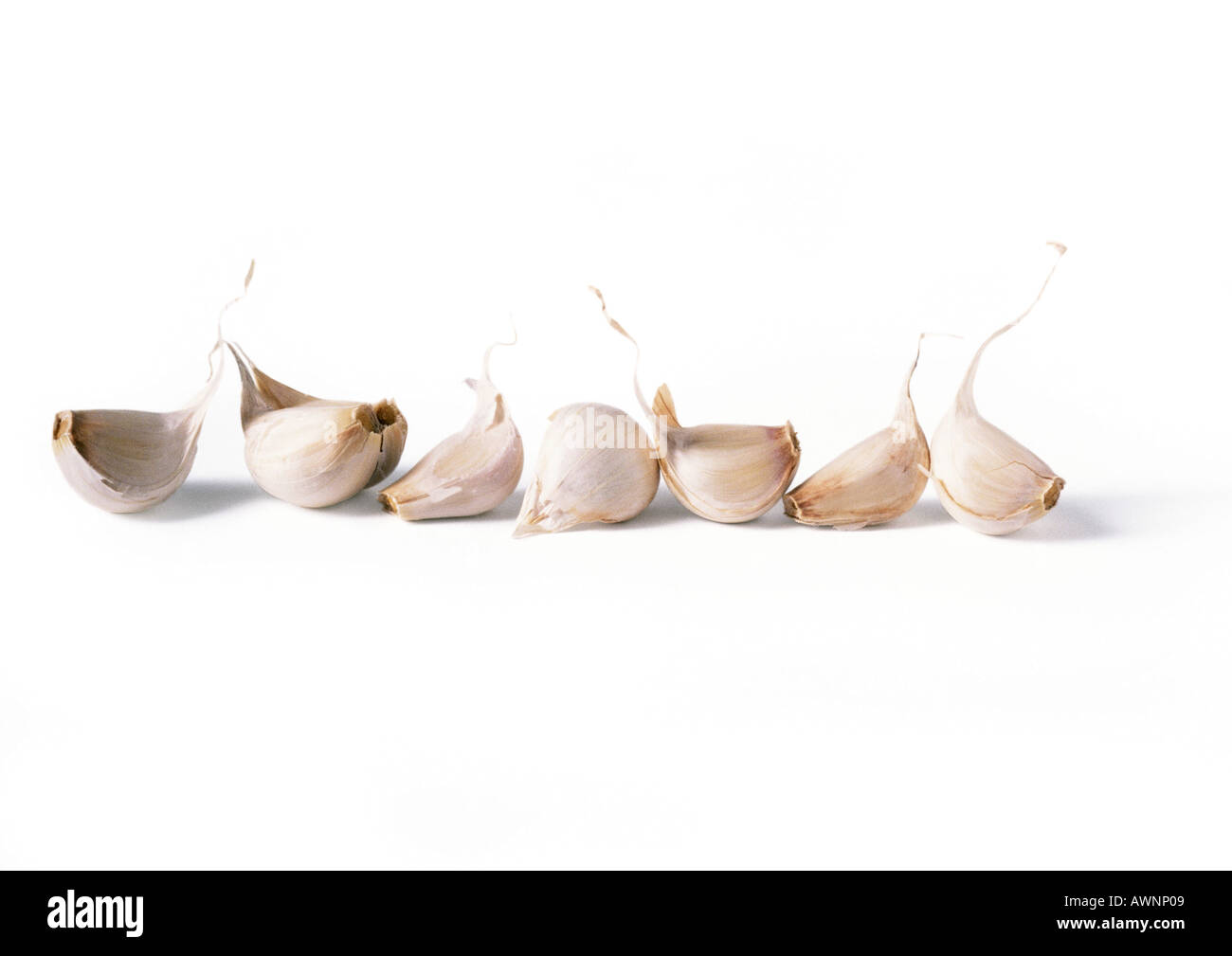 Garlic cloves in a line, front view Stock Photo Alamy