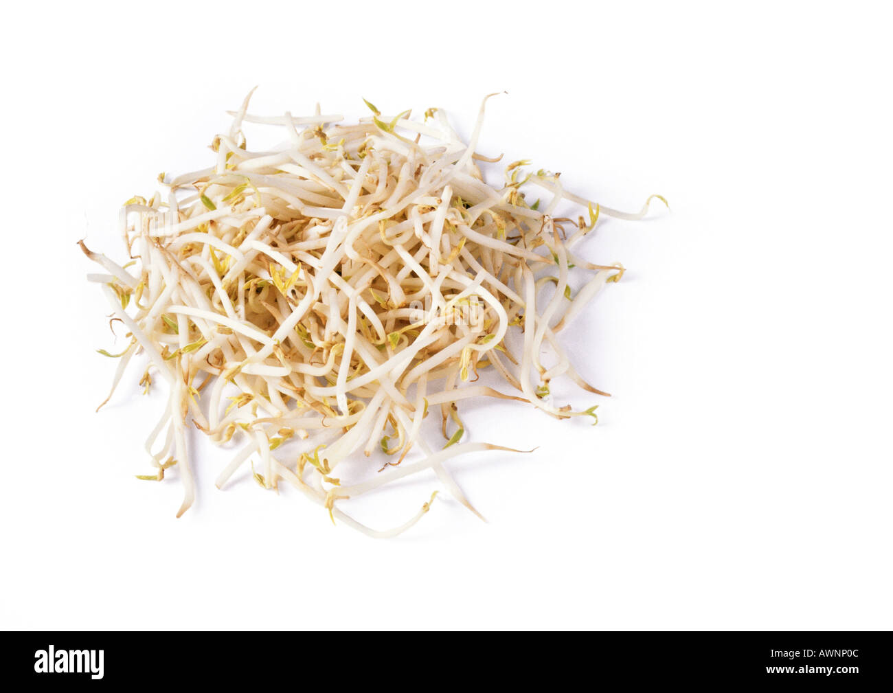 Mound of bean sprouts. Stock Photo