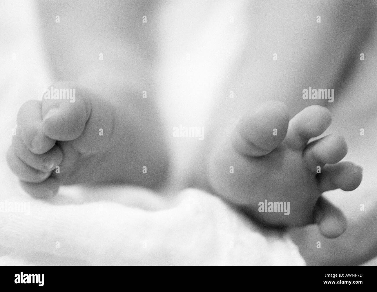 Baby s Feet Close up B w Stock Photo Alamy
