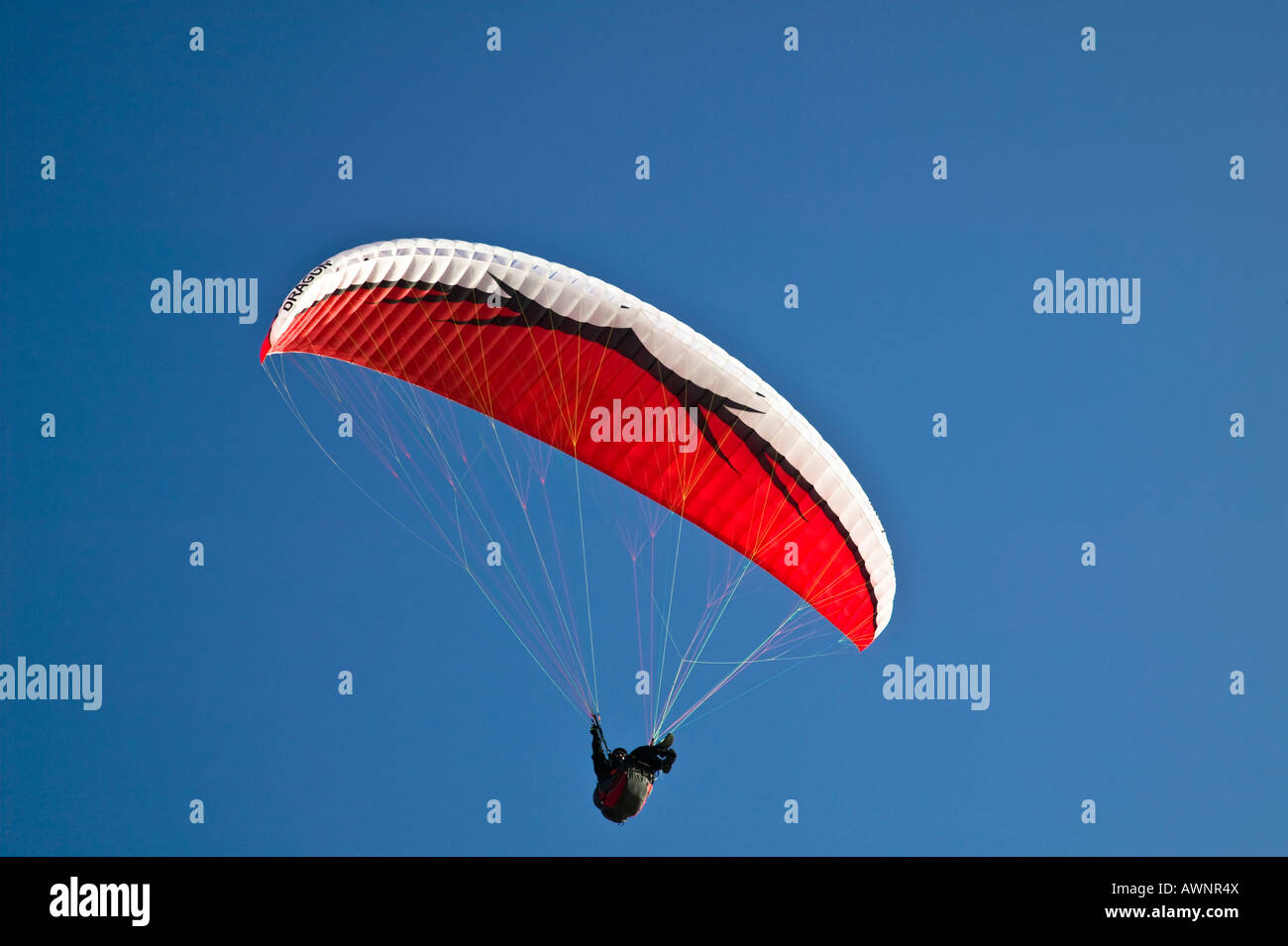 Paraglider San Diego, Glider Park, California, USA Stock Photo Alamy