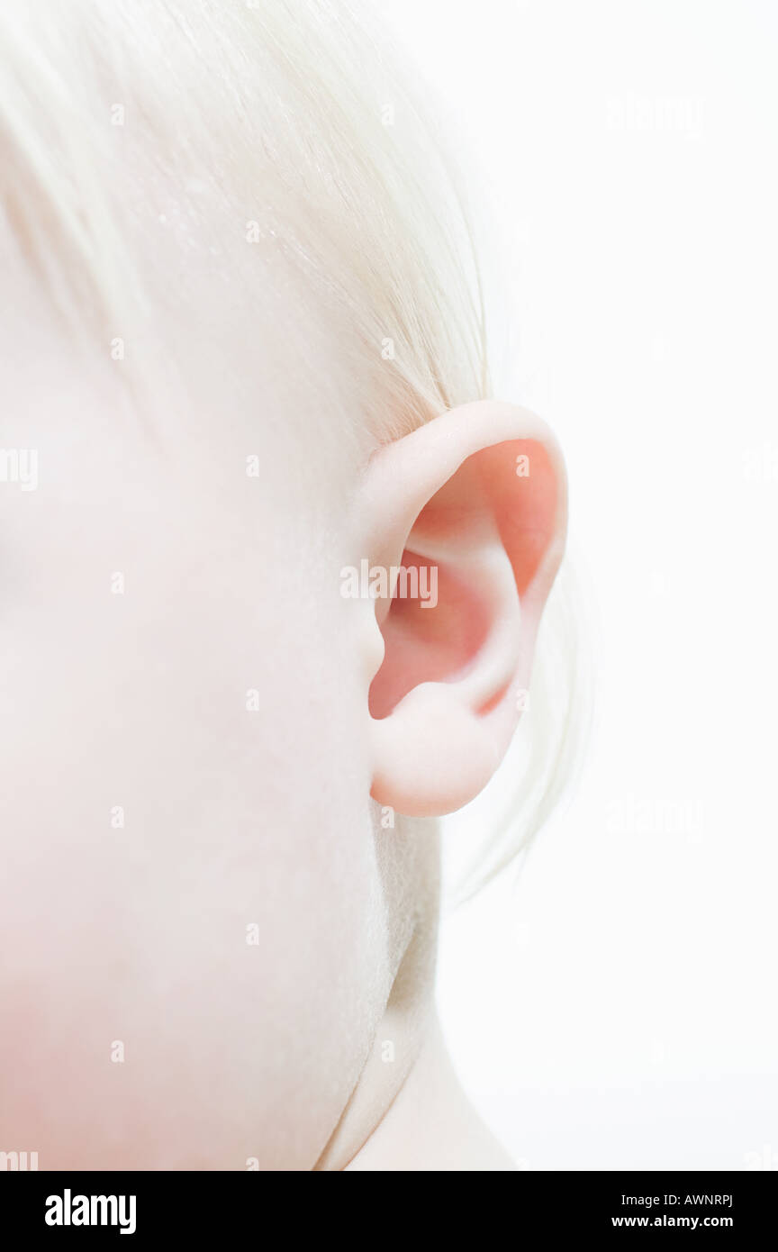 Ear of a baby Stock Photo Alamy