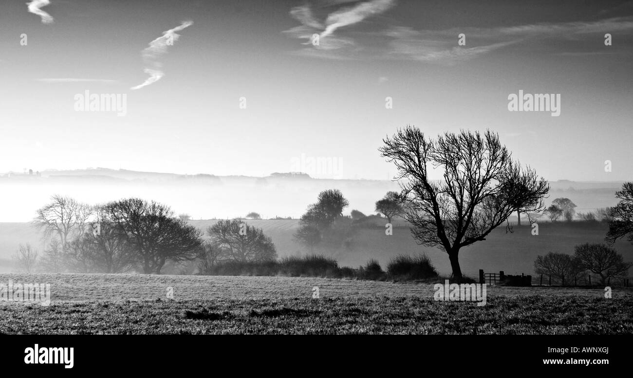 Frosty morning sunrise, tree with gate and stile Stock Photo