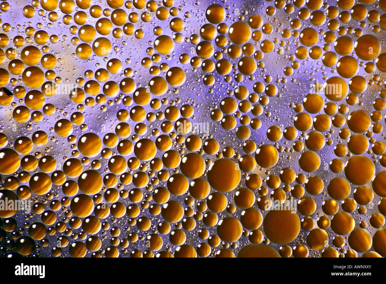 Drops of oil in water, macro Stock Photo