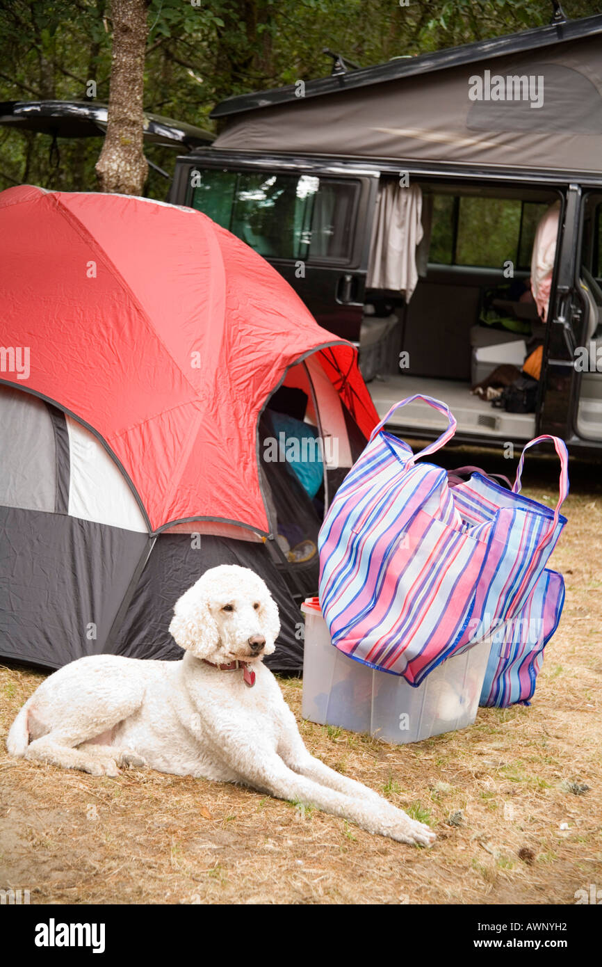 Dawg sales e tent
