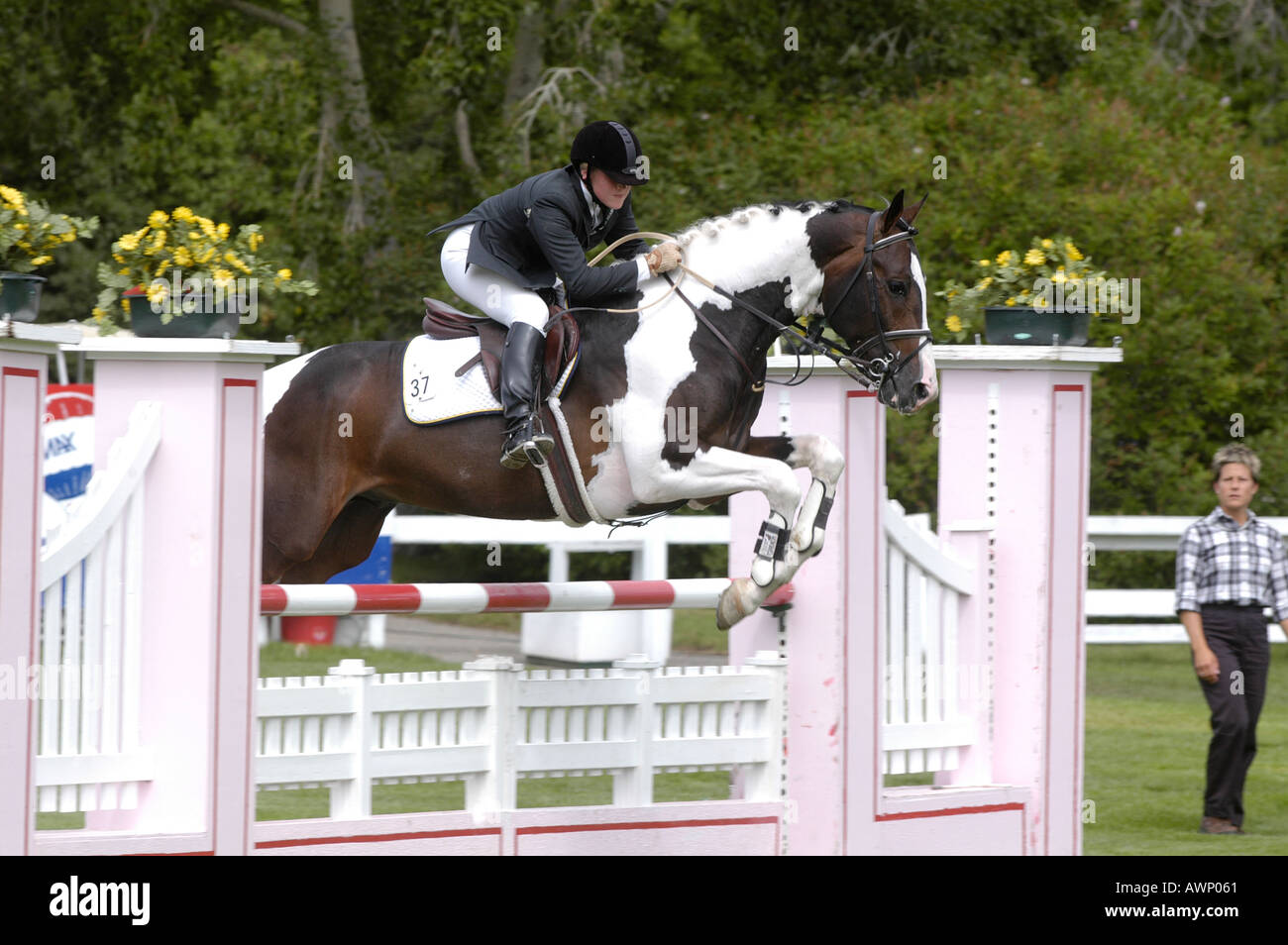 Competitorlook hi-res stock photography and images - Alamy