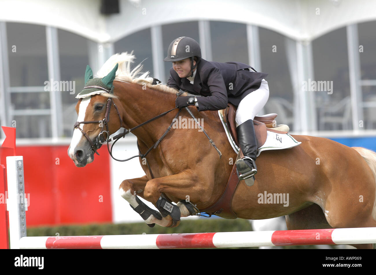 Cathleen Calvert of USA riding Quietude at spruce Meadows Stock Photo