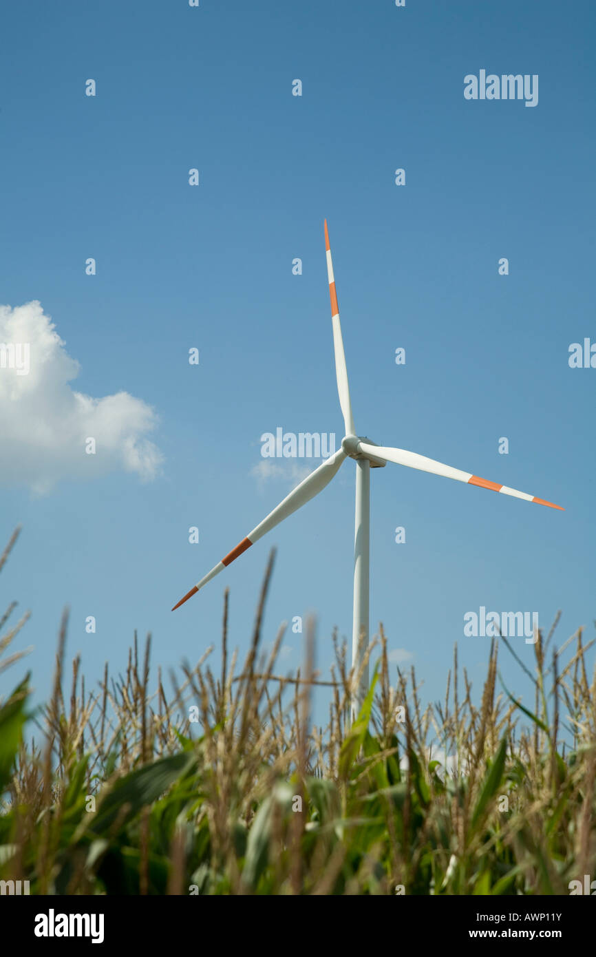 Wind turbine in field Stock Photo