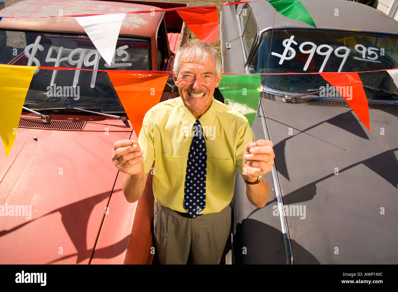 Used Car Salesman And Cars Stock Photo Alamy