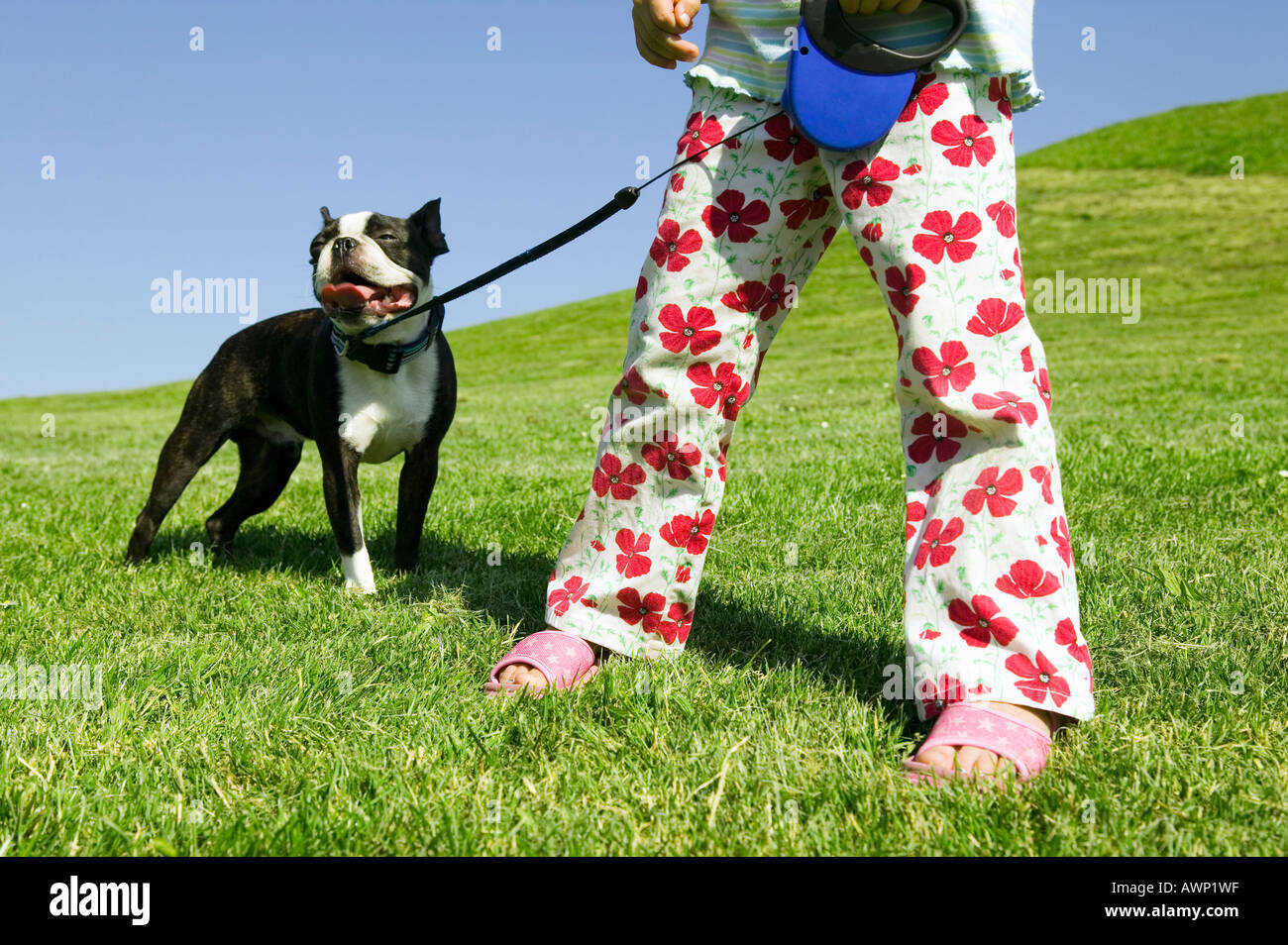 Young girl walking her dog Stock Photo Alamy
