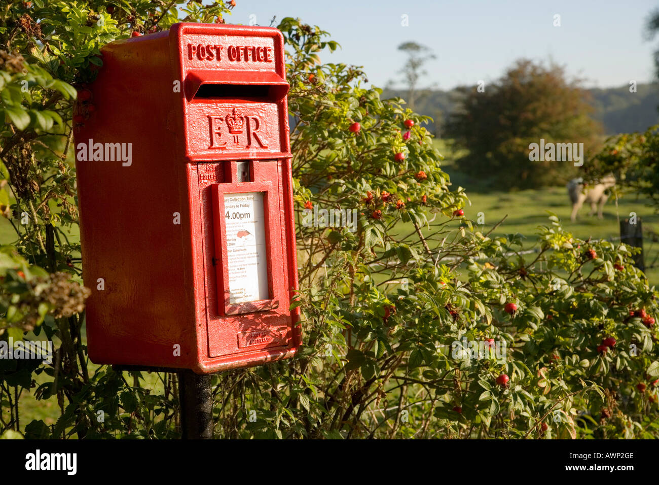 Red mailbox, Kent, United Kingdom Stock Photo Alamy
