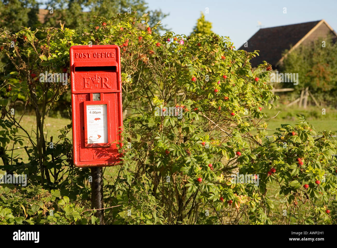 Red mailbox, Kent, United Kingdom Stock Photo Alamy