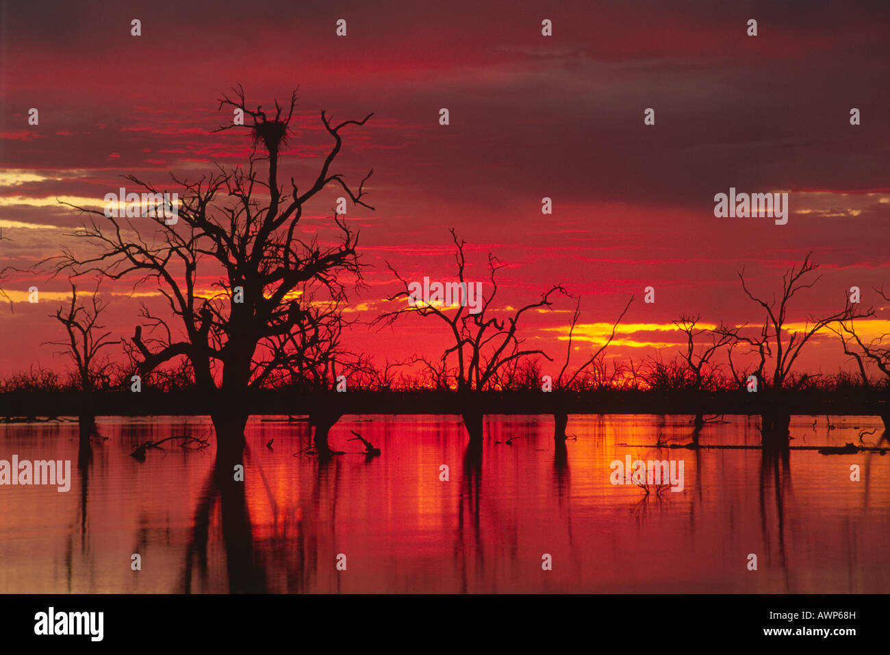 Sunset over Lake Menindee, Kinchega National Park, New South Wales, Australia, Oceania Stock Photo