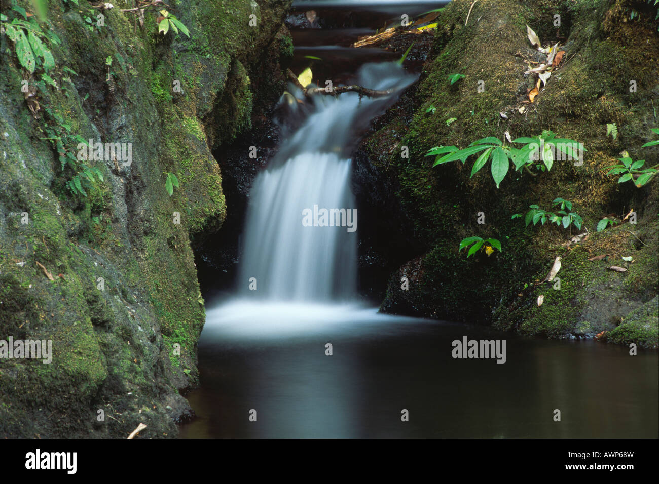 Small waterfall, Lamington National Park, Queensland, Australia, Oceania Stock Photo