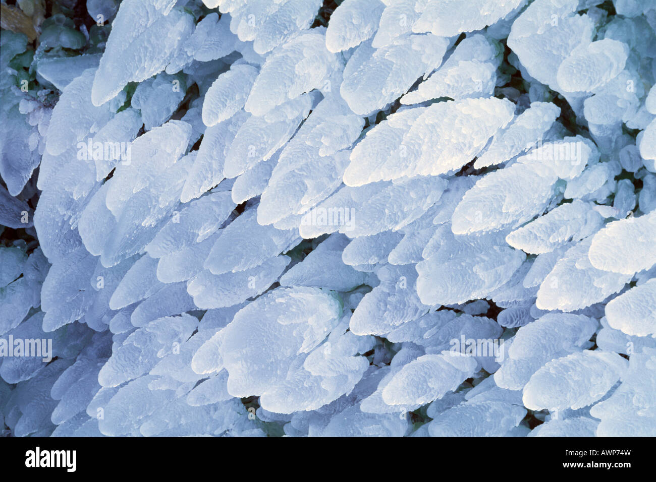 Icicles, Sand in Taufers (Campo Tures), Bolzano-Bozen, Italy, Europe Stock Photo