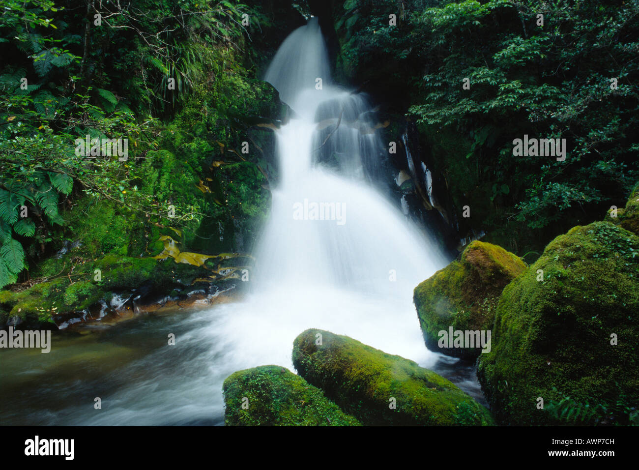 Waterfall, North Island, New Zealand, Oceania Stock Photo